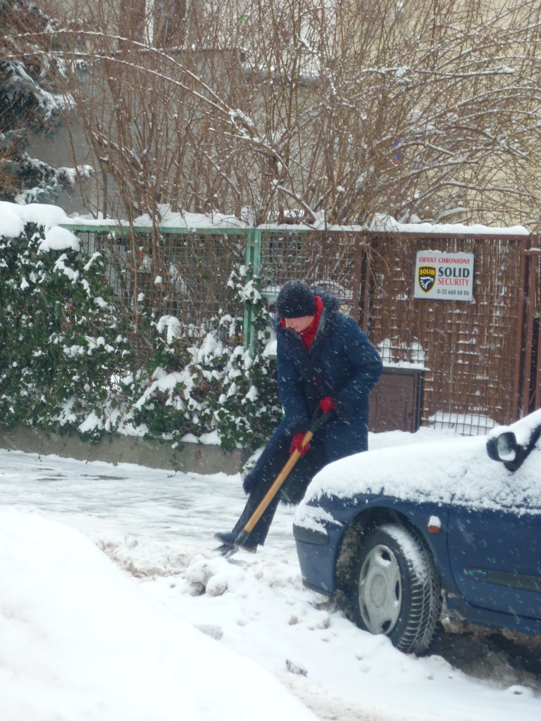 雪のワルシャワ Zima W Warszawie Kaneko Creative Agency ポーランド及び欧州メディア コーディネーター