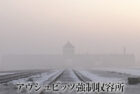 BS1スペシャル・ただ涙を流すのではなく / Auschwitz-Birkenau (NHK)