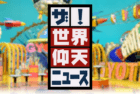 ザ！世界仰天ニュース / The World’s Astonishing News (NTV)