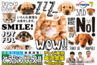どうぶつピース / Urocze Zwierzaki (TV Tokyo)