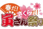 春だ！さくらだ！寅さん祭り / Tora-san Matsuri(TV Tokyo)