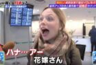 Youは何しに日本へ? / Why did you come to Japan? (TV Tokyo)